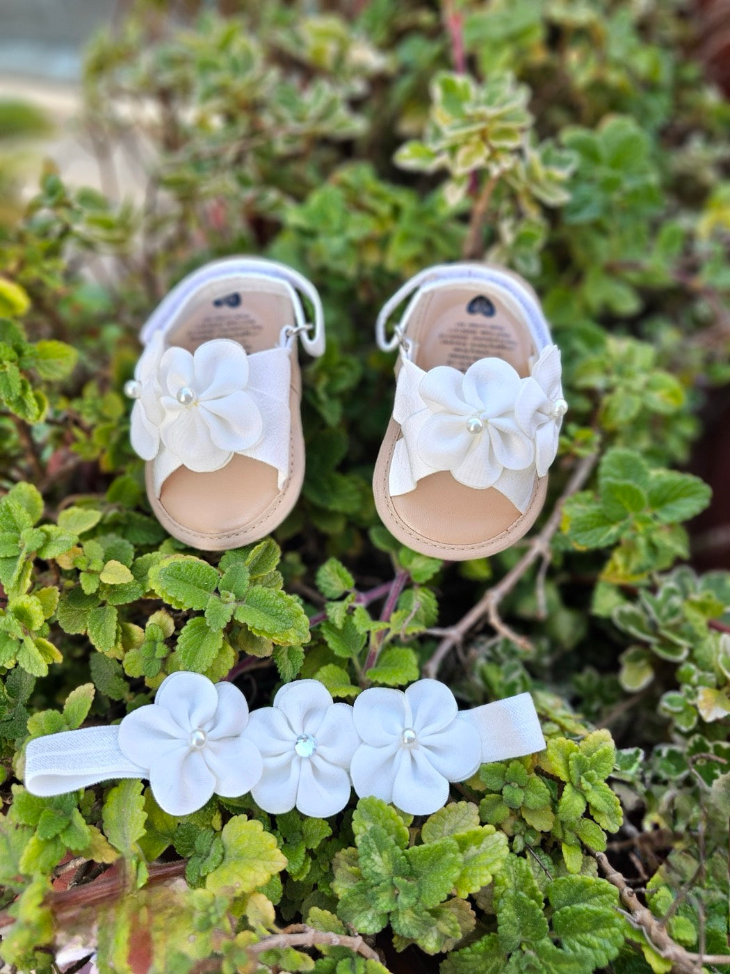 The white petals kiss sandals