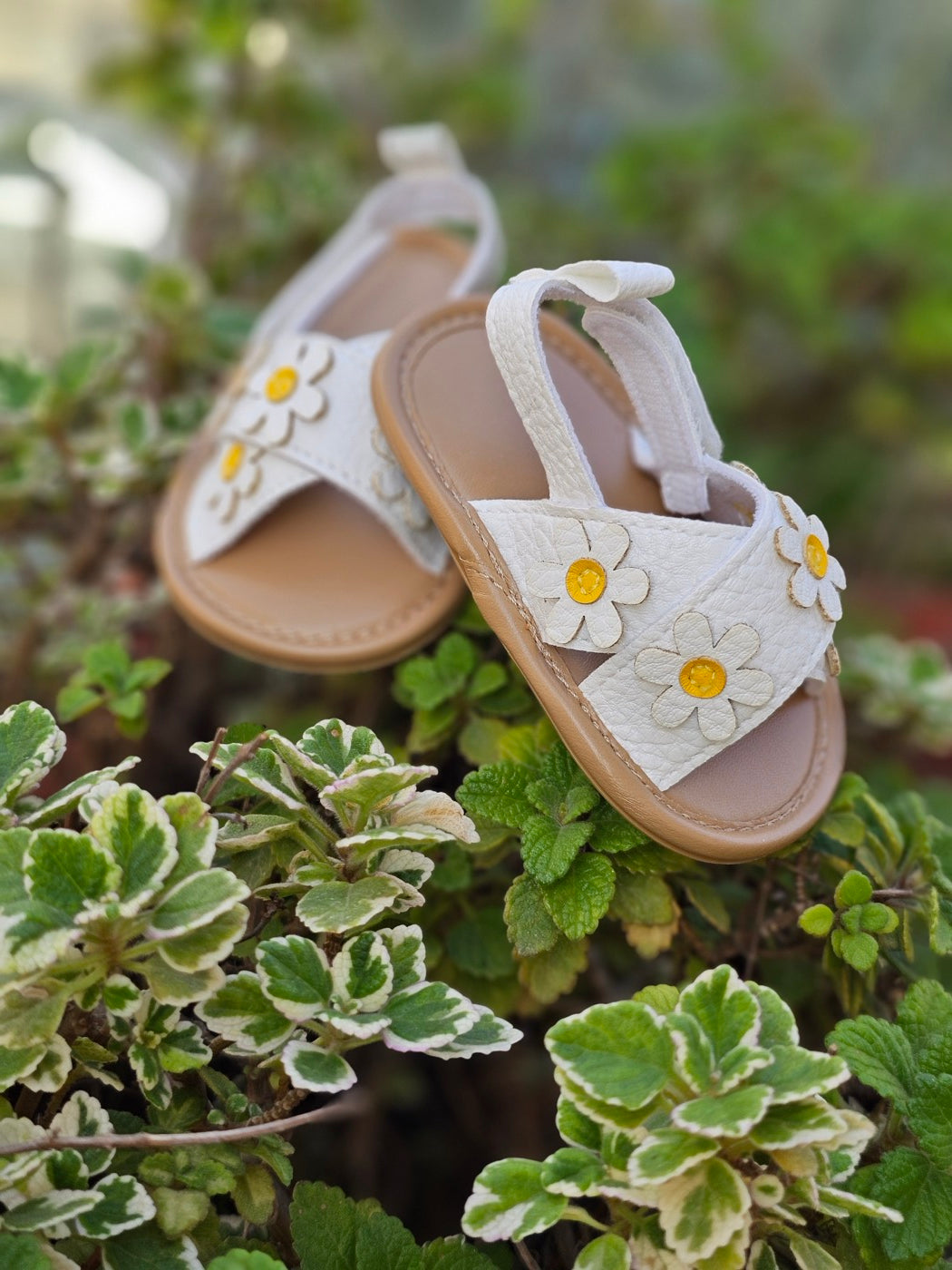 The Daisy Bloom sandals